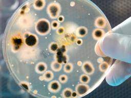 Naujas antibiotikas rodo potenciala ivairiausioms sunkiai gydomoms infekcijoms