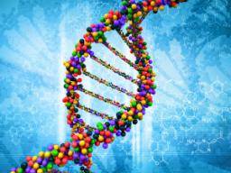 Ein neuer DNA-Reparaturmechanismus könnte zu neuen Alzheimer-Behandlungen führen