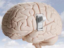 Adipositas: "Switch" im Gehirn steuert Gewichtszunahme