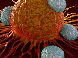 Rakovina vajecníku: Úcinná imunoterapie se blízí nové studii T bunek