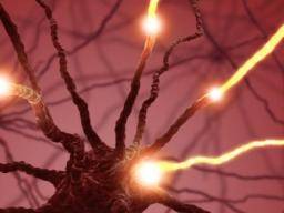 Parkinson-Krankheit kann das Ergebnis von "Gehirnzellen Burnout" sein