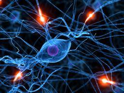 Parkinsono liga: lasteliu lasteles atstato nervu funkcija bezdzionese