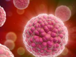 "Pathogenetische Verbindung" zwischen Krebs und Autoimmunerkrankungen
