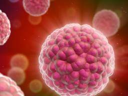 Nouvelle cible thérapeutique potentielle pour la lutte contre les cellules cancéreuses chimio-résistantes