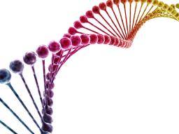 Preeklampsie: Genetická studie nalezne vazby na DNA dítete