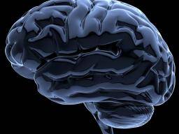 Les adultes prématurés ont un cerveau «plus âgé», trouve une étude