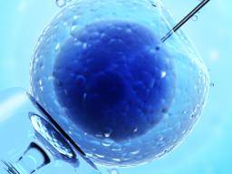 Die Verlängerung der IVF-Behandlung könnte die Erfolgsrate erhöhen