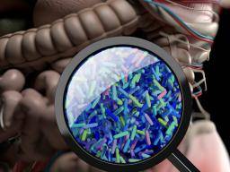 TSPT lié aux modifications de la bactérie intestinale