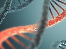 Rekonstrukce starého viru by mela pomoci vedcum zlepsit genové terapie