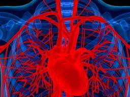 Cervená masová smes spojená s horsími výsledky u pacientu se srdecním selháním