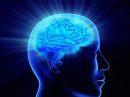 Redéfinir la cognition, l'inhibition du cortisol peut-elle réduire les souvenirs?