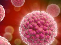 Según muestra un estudio, la reprogramación de las células cancerosas vuelve a la normalidad