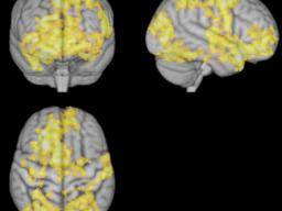 Forscher entdecken, wie das Gehirn während der Meditation arbeitet