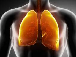 Les chercheurs trouvent une nouvelle cible potentielle pour le syndrome de détresse respiratoire aiguë