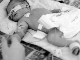 Forscher zeigen, wie Muttermilch bei Frühgeborenen vor schweren Darmerkrankungen schützt