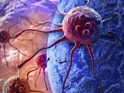 Die Forscher beleuchten, wie die Ernährung die Krebsentwicklung beeinflusst