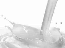 "Rogue" Milch produzierendes Protein hilft bei der Ausbreitung von Brustkrebs