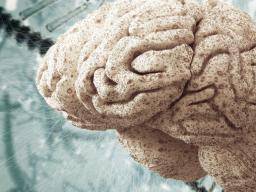 Schizophrenie Durchbruch: Den Proteinabbau aufzuhalten ist der Schlüssel