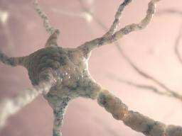 Vedci tvrdí, ze výroba myelinu je zásadní pro získání nových dovedností