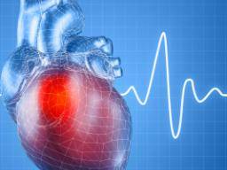 Vedci vytvárejí "biologické kardiostimulátory" transplantací genu do srdcí