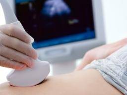 Wissenschaftler beschreiben Mechanismus, der den frühen Embryo im Mutterleib nährt