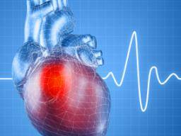 Vedci nalezli první genetickou vazbu na onemocnení srdecního svalu, které postihuje deti