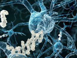 Wissenschaftler finden eine mögliche Ursache für Alzheimer im Immunsystem