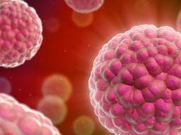 Wissenschaftler identifizieren Protein, das Ausbreitung von Darmkrebs spornt