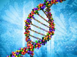 Vedci mapují historii DNA bunky na embryonální puvod