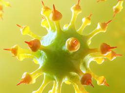 Vedci odhalují, jak se herpes virus zachází a skrývá v nasich bunkách