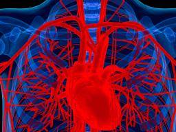 Vedci odhalují bakteriální mechanismus, který spojuje onemocnení dásní s onemocnením srdce