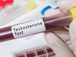 Les scientifiques utilisent des cellules souches pour restaurer la testostérone