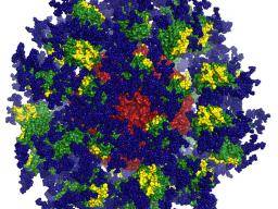 Tým Scripps predstavuje "velkolepé" základy vakcíny proti HIV