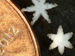 "Mekké mikrobroboty" mohou delat biopsie, dodat drogy