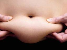 Spezifisches Protein kann Fettleibigkeit verursachen, indem es braunes Fett stört