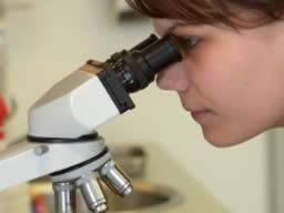 Kmenové bunky pro obnovení zraku - nová metoda dorucení