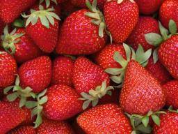Composé de fraise peut prévenir la maladie d'Alzheimer
