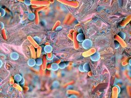 Fuerza en los números: cómo las biopelículas superan a los antibióticos