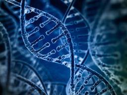 Studie ukazuje, jak dedicné genetické mutace ovlivnují riziko nekterých typu rakoviny