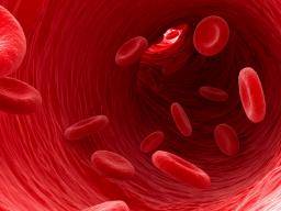 Studie zeigt, dass Blutzellen Stickstoffmonoxid benötigen, um Sauerstoff zu liefern