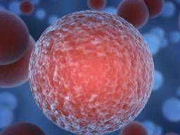 Les hormones végétales synthétiques tuent les cellules cancéreuses en stoppant la réparation de l'ADN