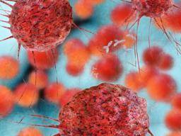 Tkán syntetických nádoru pomáhá modelovat biologii rakoviny