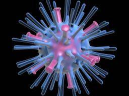 Die Bekämpfung der Immunantwort könnte eine vielversprechende neue Richtung für Grippemedikamente sein