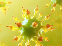 Cílený virus muze zvýsit úcinky chemo na rakovinu ramen a nohou