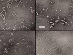 Drogen gezielt mittels "Triggered Release" über Nanopartikel bekämpfen