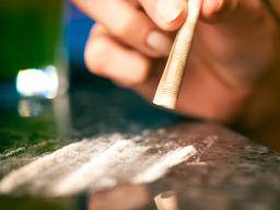 Der intralimbische Kortex: Ein Fenster in die Kokainsucht