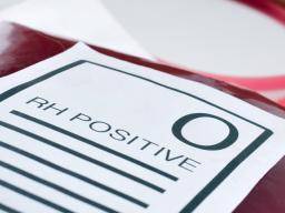 Le régime de groupe sanguin O positif (et O négatif)