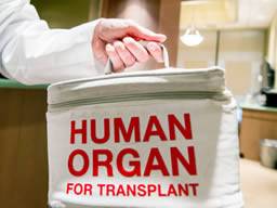 Síla renálních transplantacních retezcu, kdy lidé "zaplatí to dopredu"