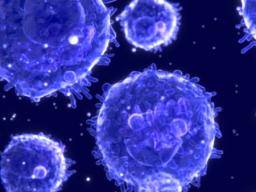 Tolerantes Immunsystem kann ein Risikofaktor für einige Krebsarten sein