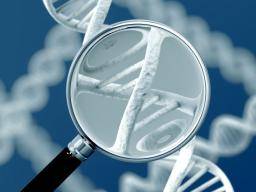 Bylo zjisteno dvanáct nových genetických prícin vzácných vývojových poruch